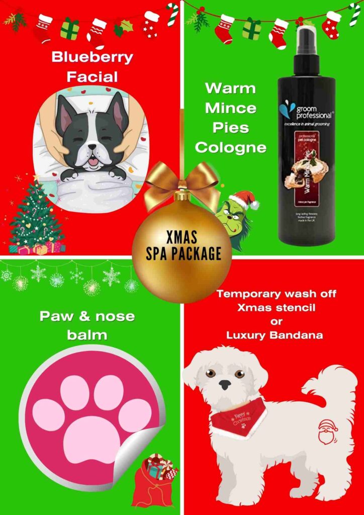 Bark & Bath Dog Grooming Christmas Spa